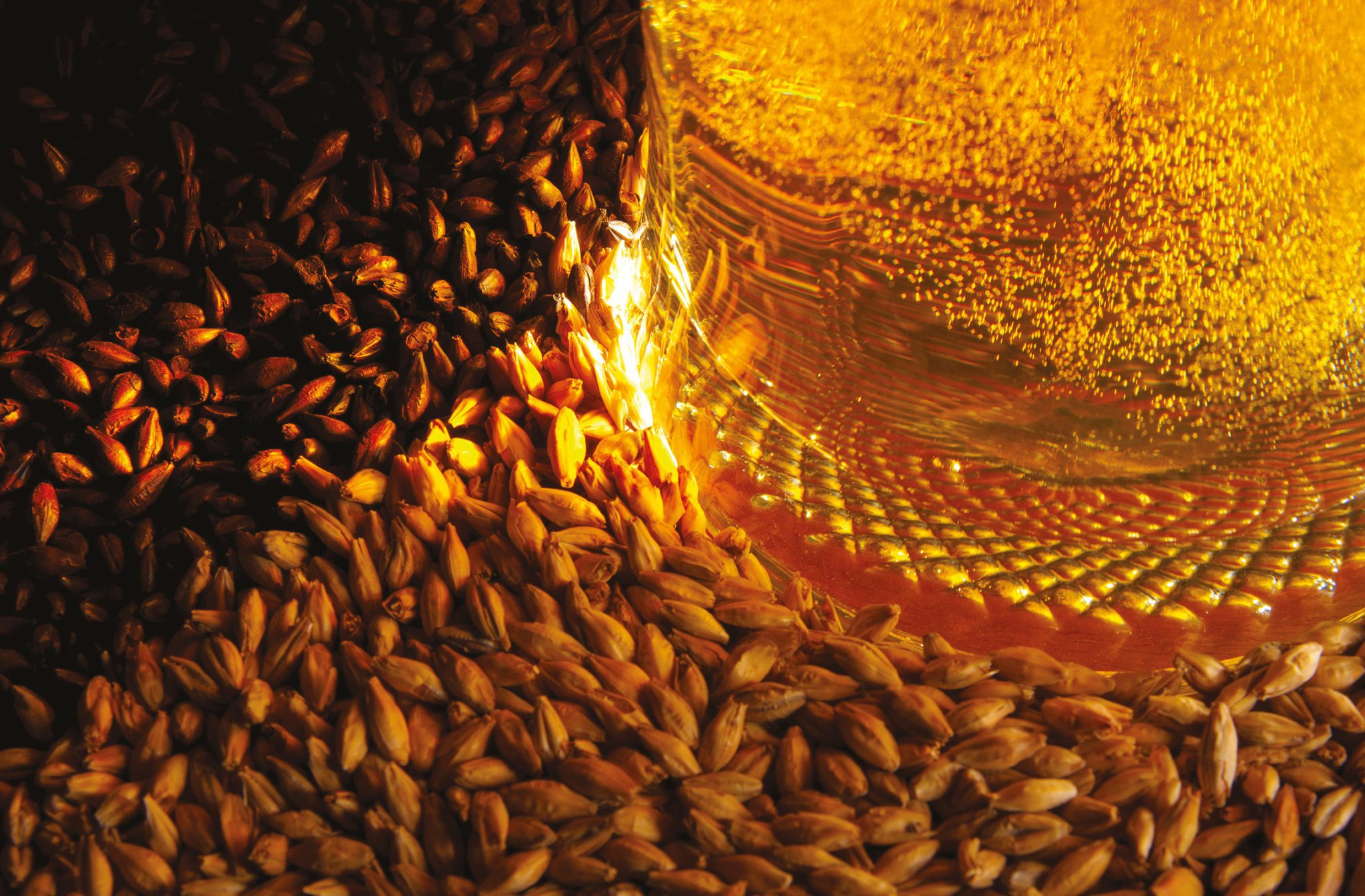 Beer filtration equipment 