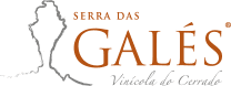 Vinícola Serra das Galés
